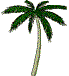 Palmtree